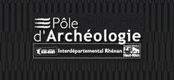 Le Syndicat Autonome du Pôle d'Archéologie Interdépartemental Rhénan dépose un préavis de grève