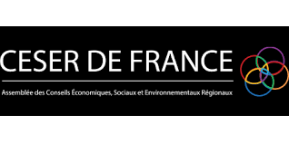 Quel est le rôle du Conseil économique, social et environnemental régional ?